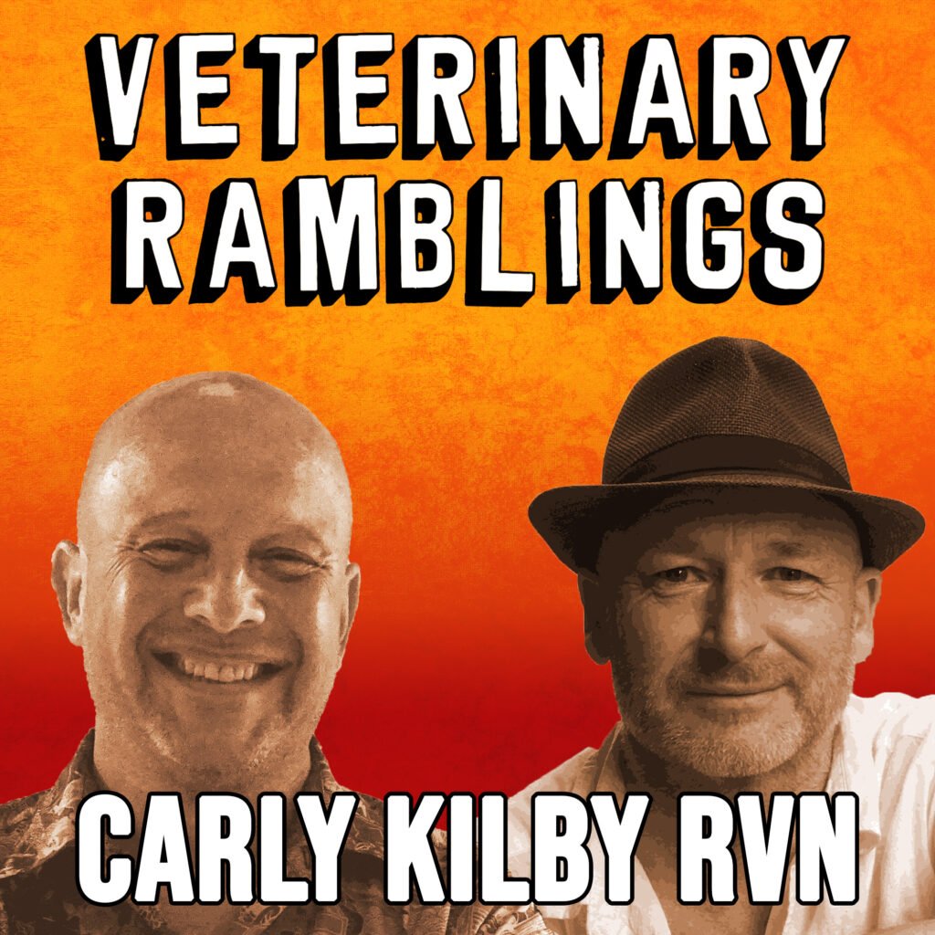 Carly Kilby RVN