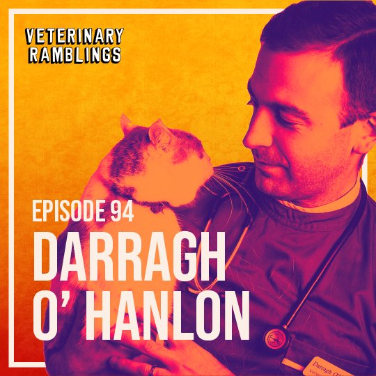 Darragh O' Hanlon Veterinary Ramblings