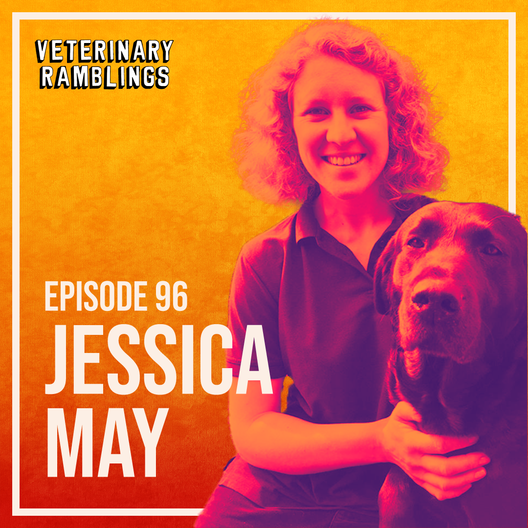 Jessica May MRCVS Veterinary Ramblings